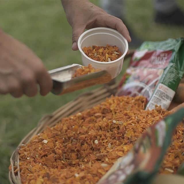 Conocé nuestro proceso de deshidratación