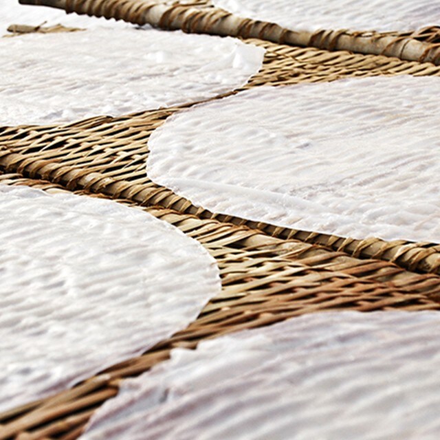 Un viaje por los arroces del mundo Un viaje por los arroces del mundo