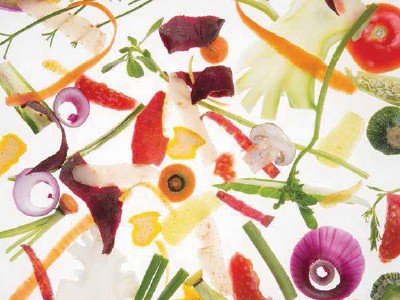 Hacé click acá para descargar la guía