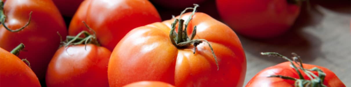 Tomates