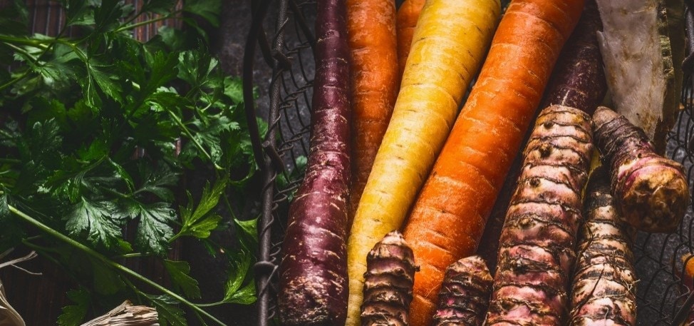 Cuestiones nutricionales