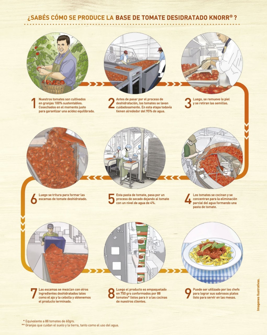 Conocé cómo es el proceso de deshidratación de la Base de Tomate Knorr, sus ventajas y beneficios