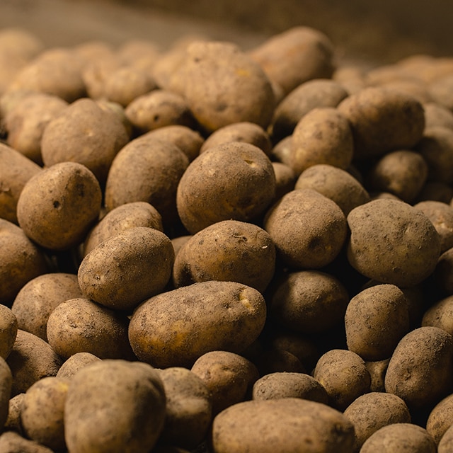 Recetario de Papas en Escama