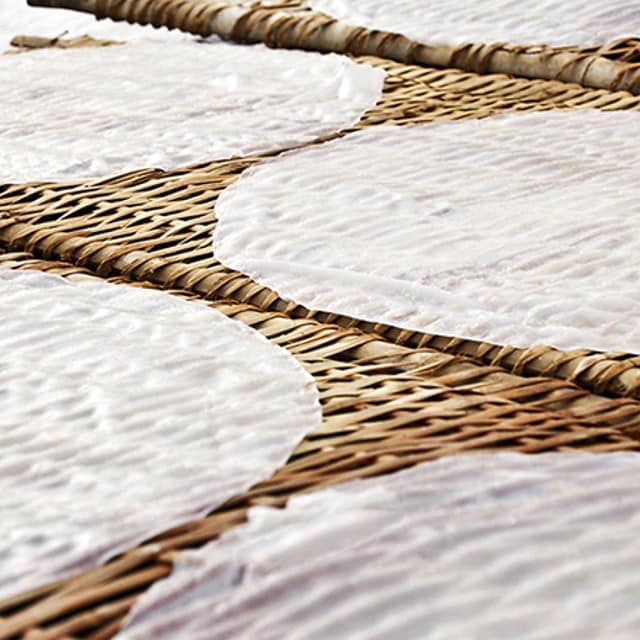 Un viaje por los arroces del mundo